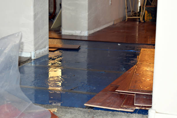Professional Basement Flood Cleanup technician working in West Concord, MN